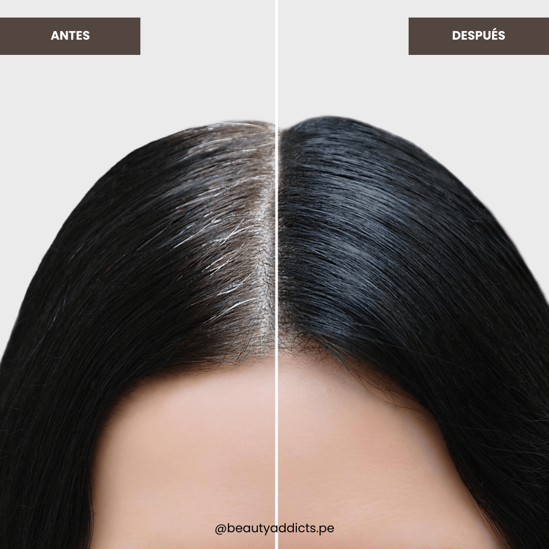 Shampoo colorante Dajoy tono Negro, fórmula que limpia y tiñe el cabello al mismo tiempo.