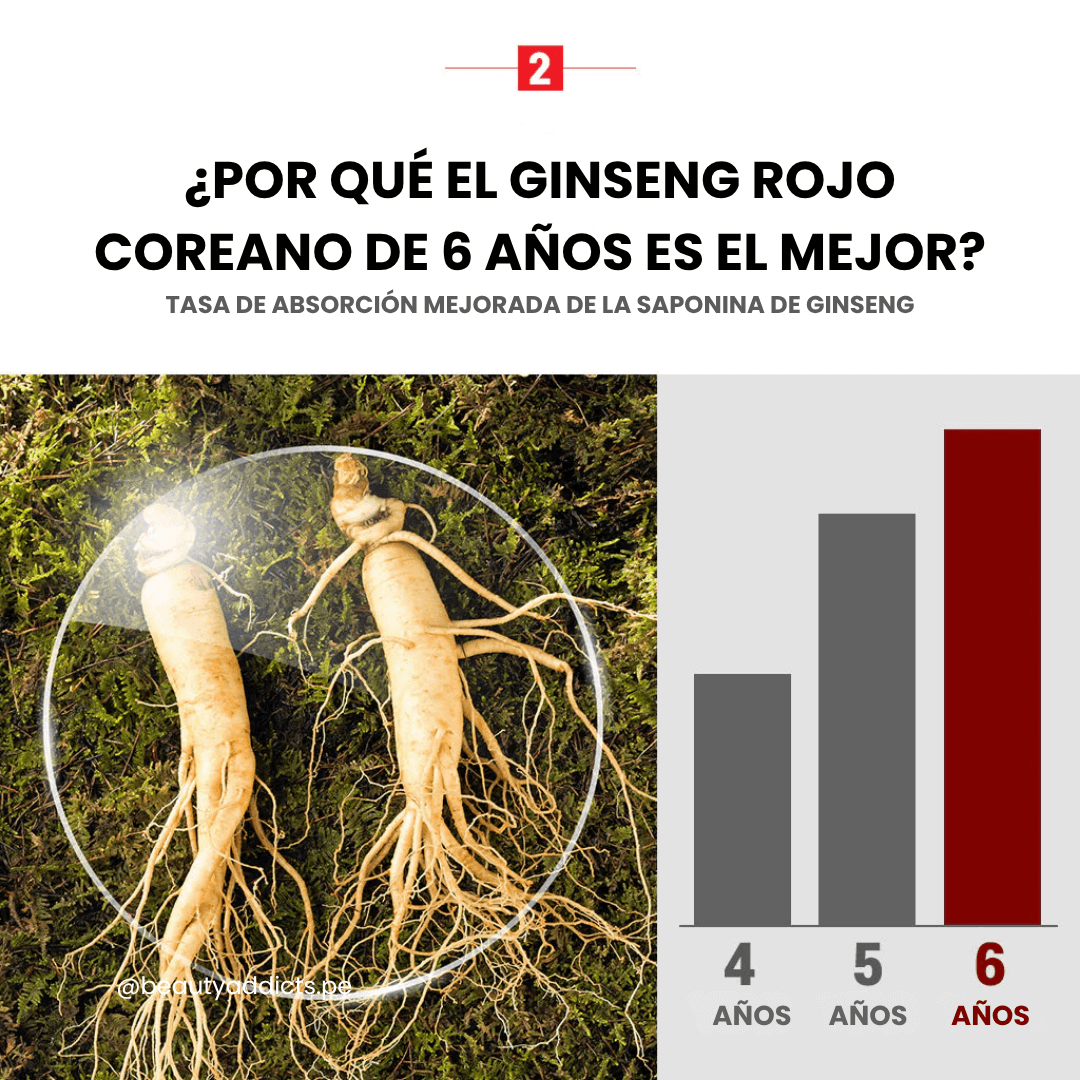 Suplemento Boto de ginseng rojo puro para fortalecer el cuerpo.