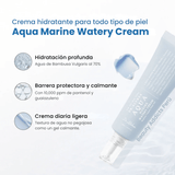 Crema facial de textura acuosa para refrescar y suavizar.