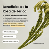Crema Jericho Rose Crème Nutrition Tube de Abib con extracto de rosa de Jericó que retiene la humedad.
