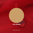Mask Fit Red Cushion Tirtir tono 33W Ginger.